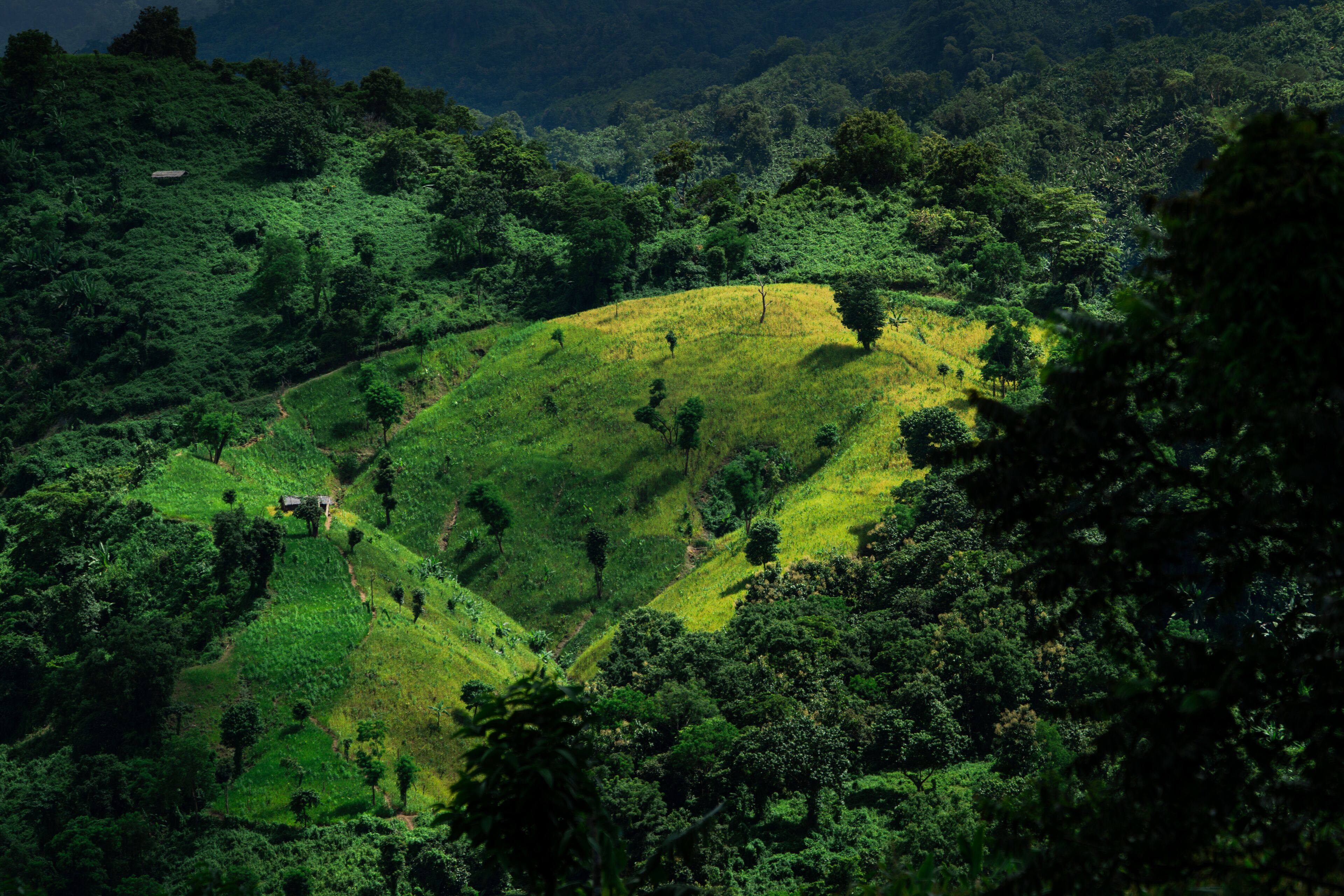 A lush green valley with a small house on a hill.