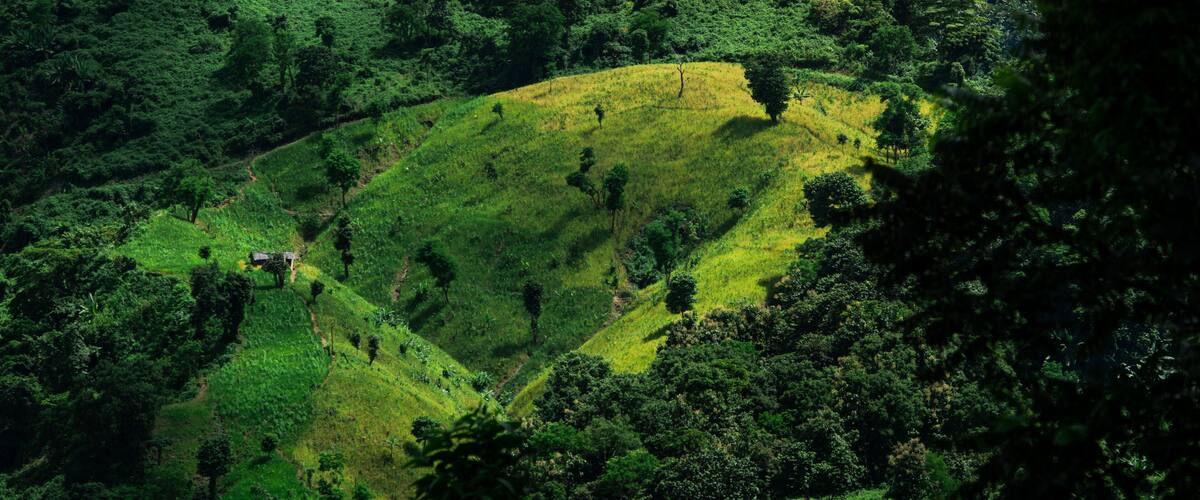 A lush green valley with a small house on a hill.