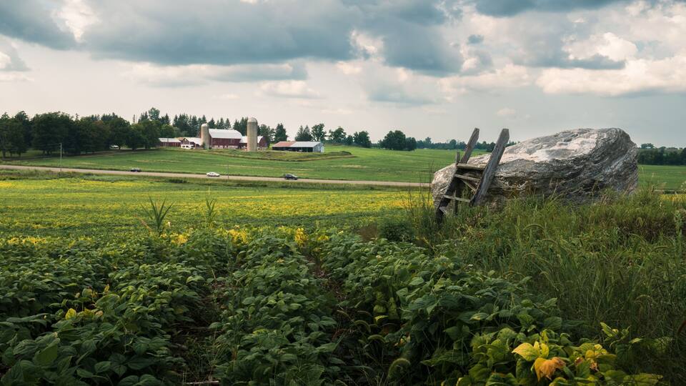A rural landscape with a large rock, a wooden fence, and a road with vehicles.