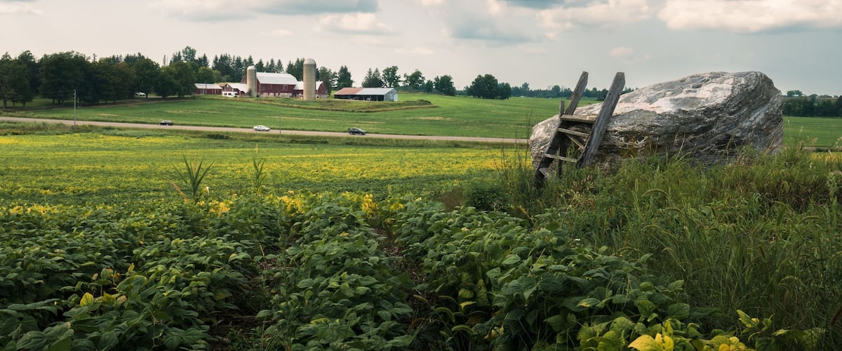 A rural landscape with a large rock, a wooden fence, and a road with vehicles.