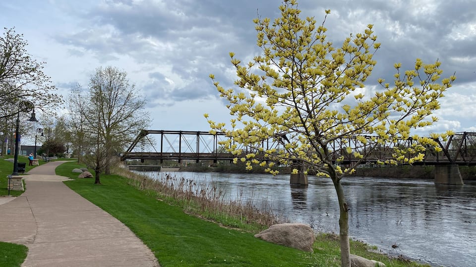 Phoenix Park in Downtown Eau Claire Wisconsin