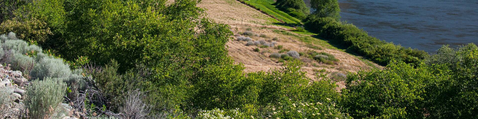Landscape valley river Okanogan River near Omak Washington