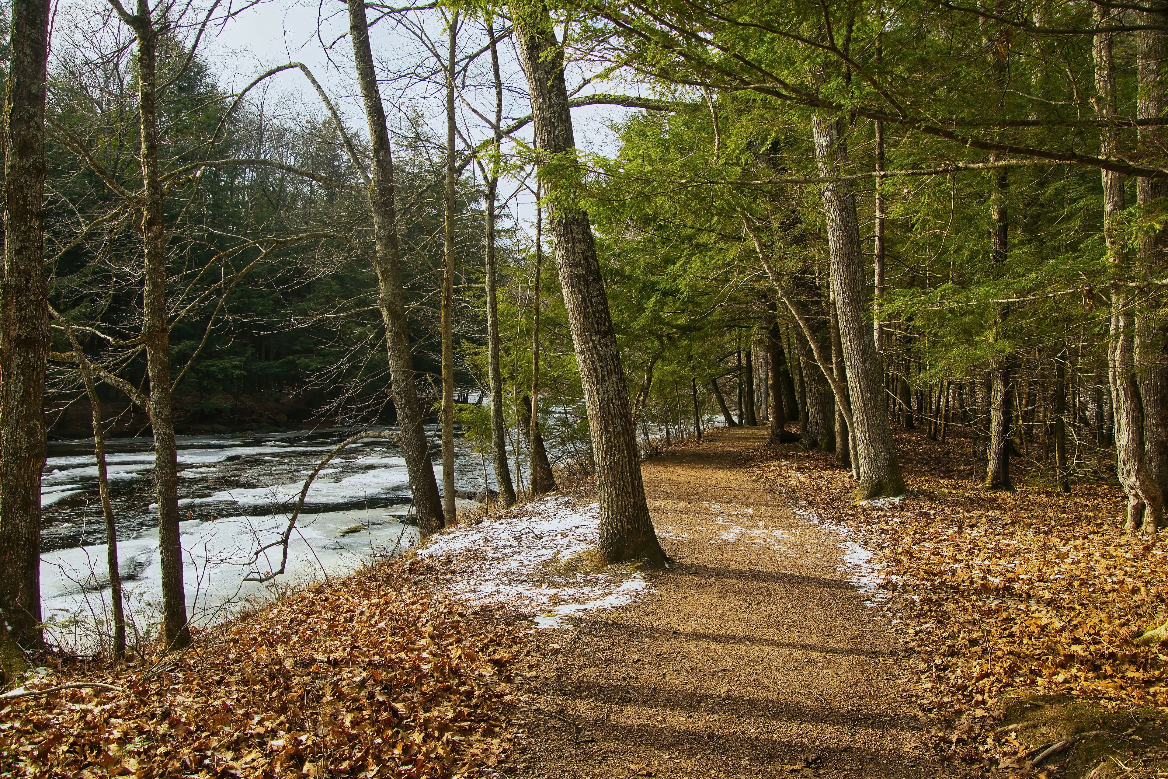 Beautiful landscape of the Ice Age Trail passing through a forest beside a partly frozen Eau Claire River on a Winter day near Aniwa, Wisconsin.