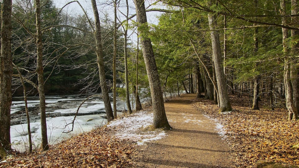 Beautiful landscape of the Ice Age Trail passing through a forest beside a partly frozen Eau Claire River on a Winter day near Aniwa, Wisconsin.