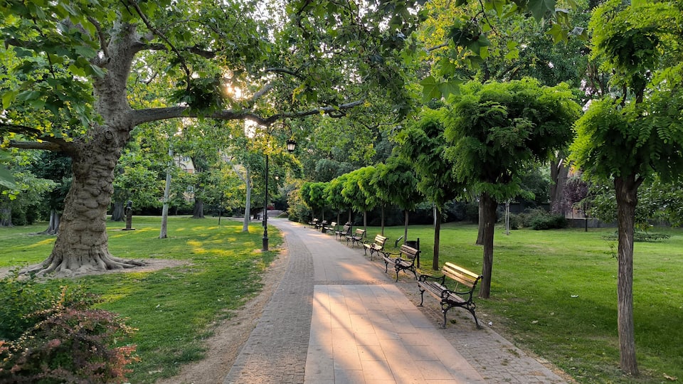 sunny morning in the park in Novi Sad