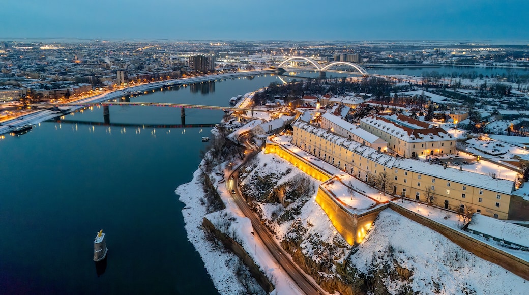 Novi