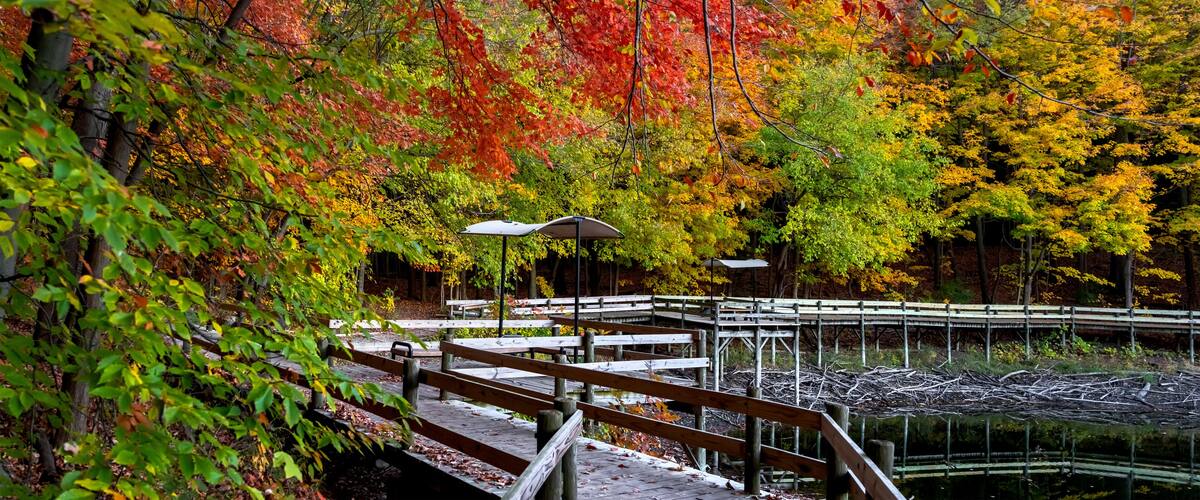 Panoramic view of scenic boardwalk trail in autumn time in Maybury state park in Michigan