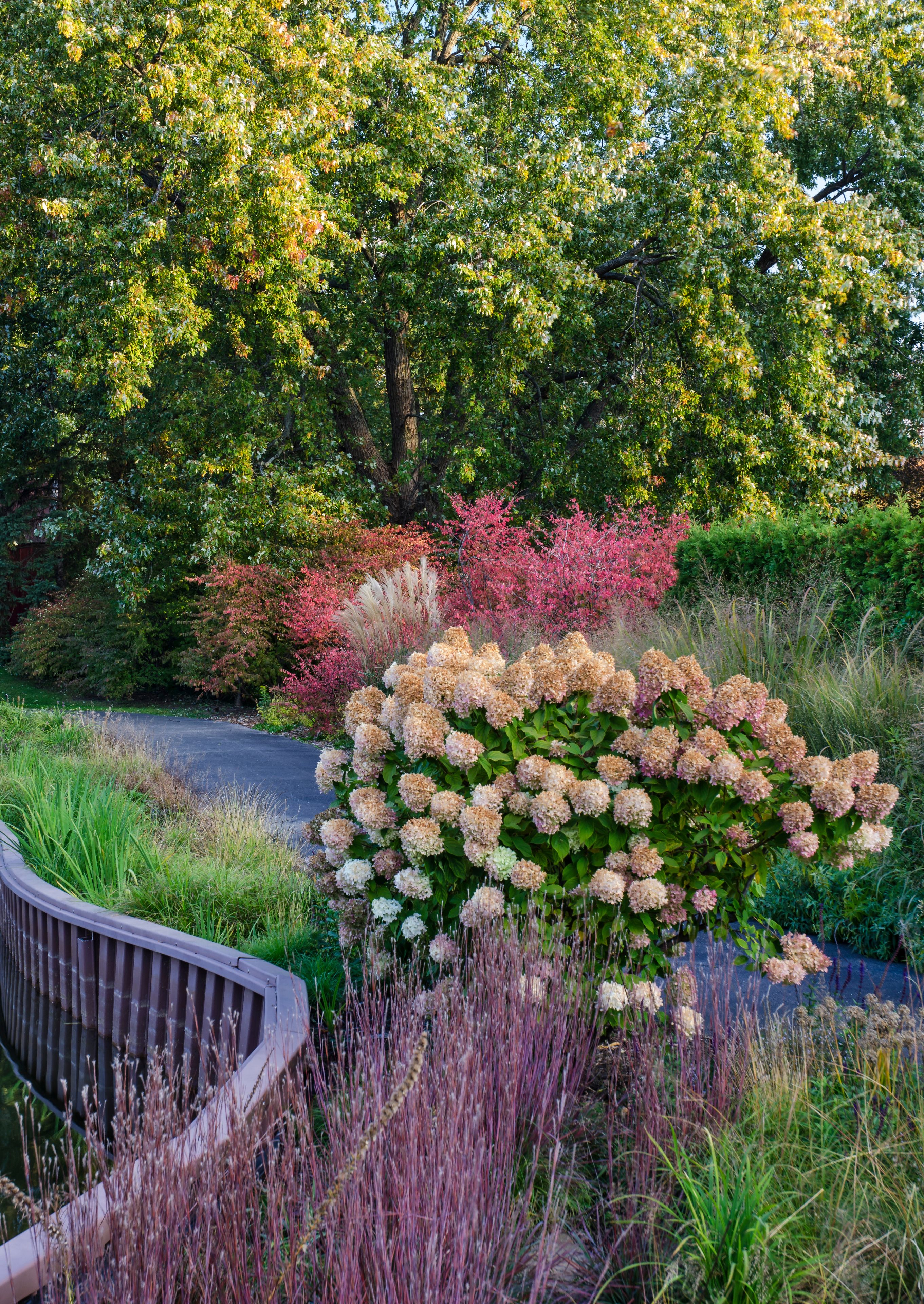 A garden with a variety of flowering plants, a curved wooden bench, and a road in the background.