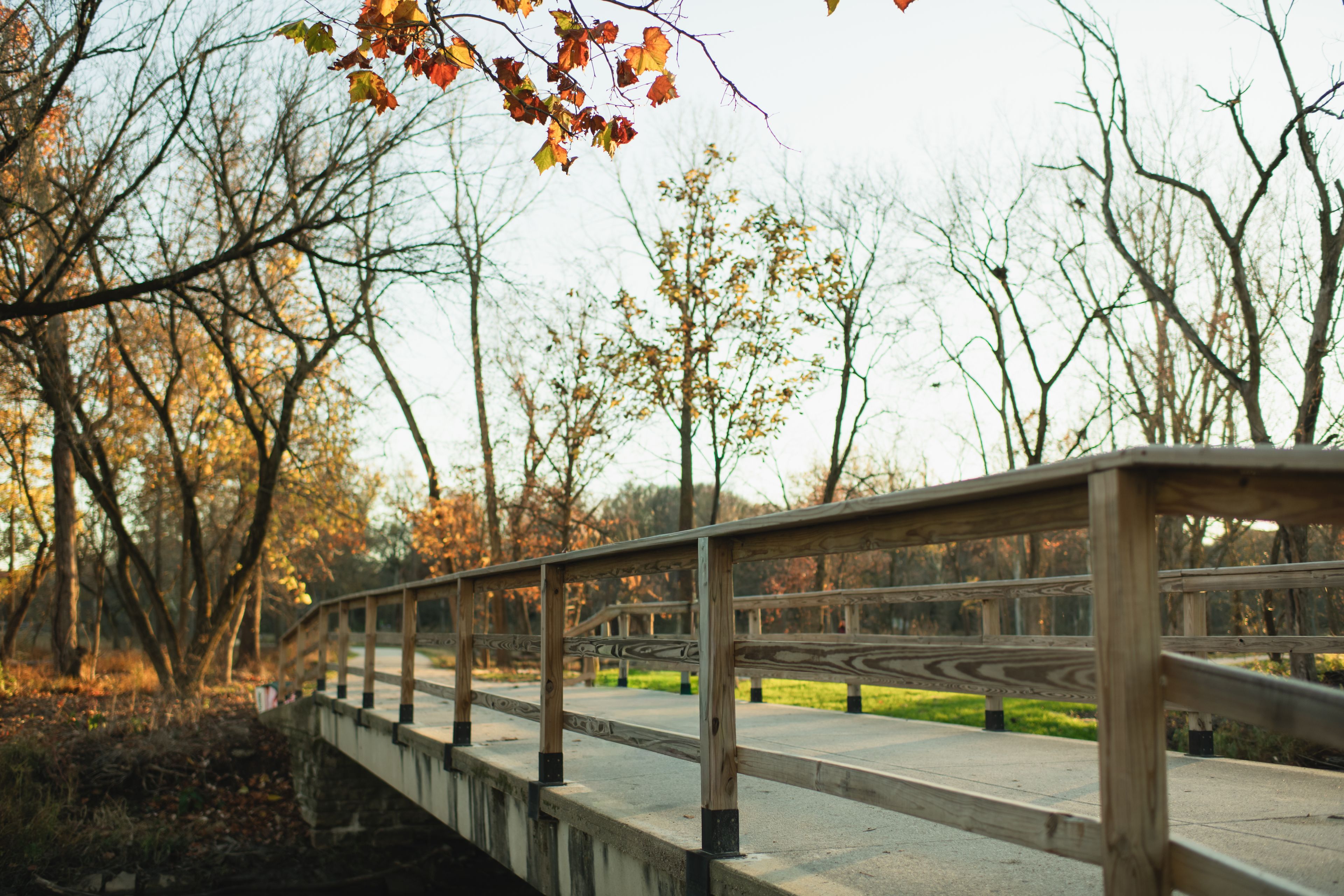 A wooden pedestrian bridge stretches through late autumn woodland at Fullersburg Woods Forest Preserve in Oak Brook, Illinois. This image highlights scenic walking paths, and seasonal foliage