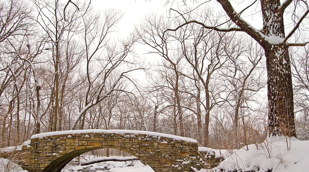 Scenic winter landscape with stone bridge over a flowing creek.