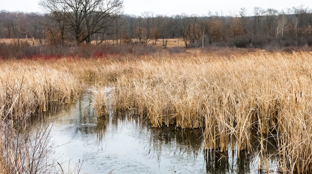 オーク クリーク