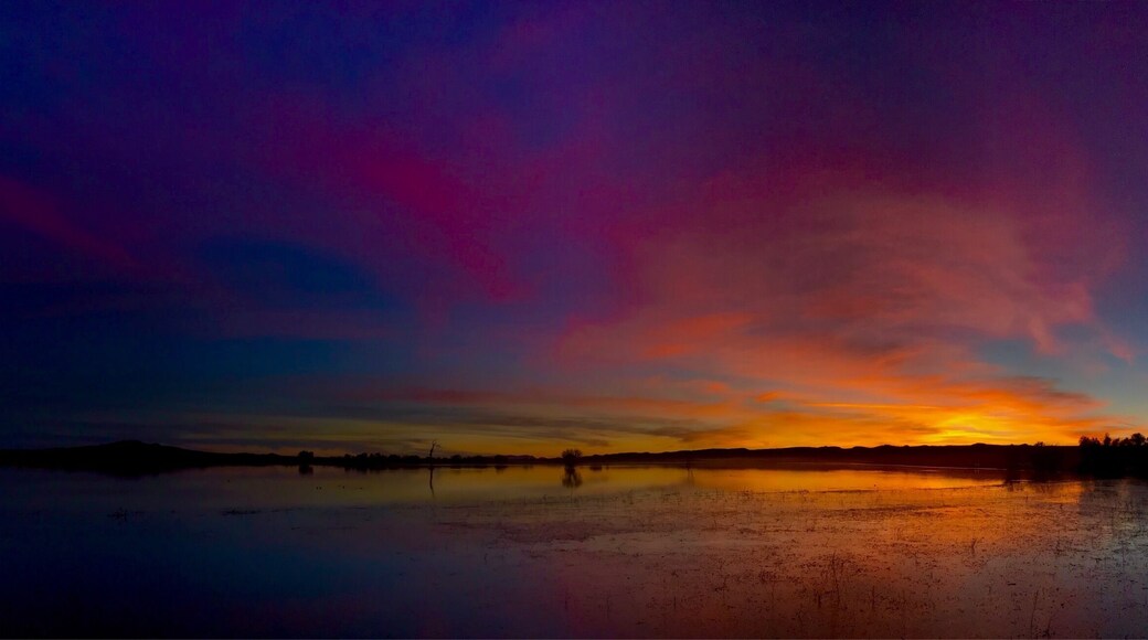 Waiting for the cranes to show up. It was a no show from the flight deck but the skies of New Mexico derivered an amazing sunset.