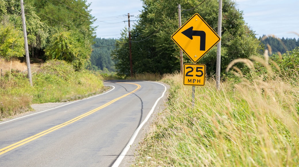 Long country highway with yellow lines down the centre and a caution sign indicating a left curve.