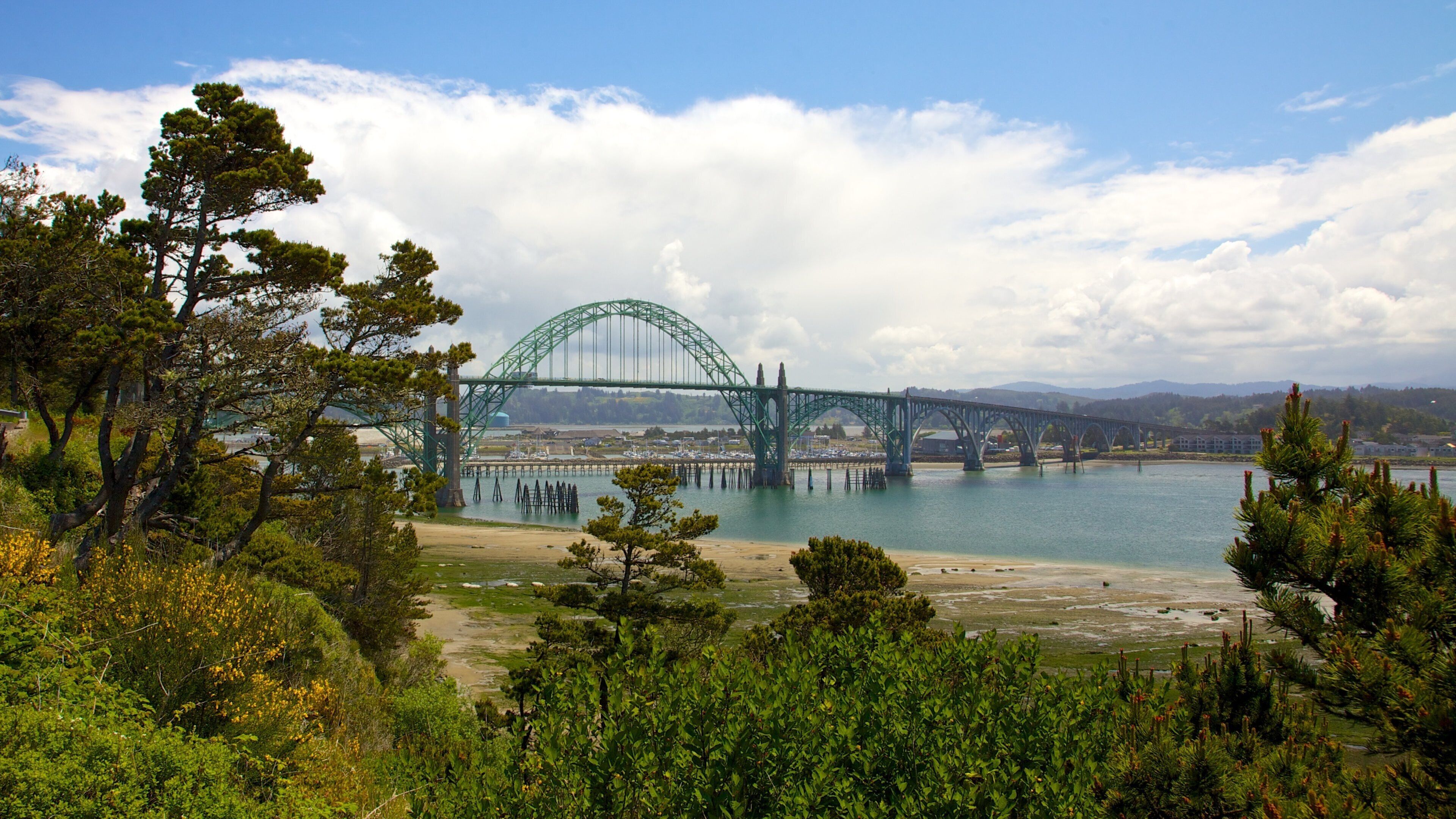 A large green bridge over a river with surrounding greenery and mountains in the background.