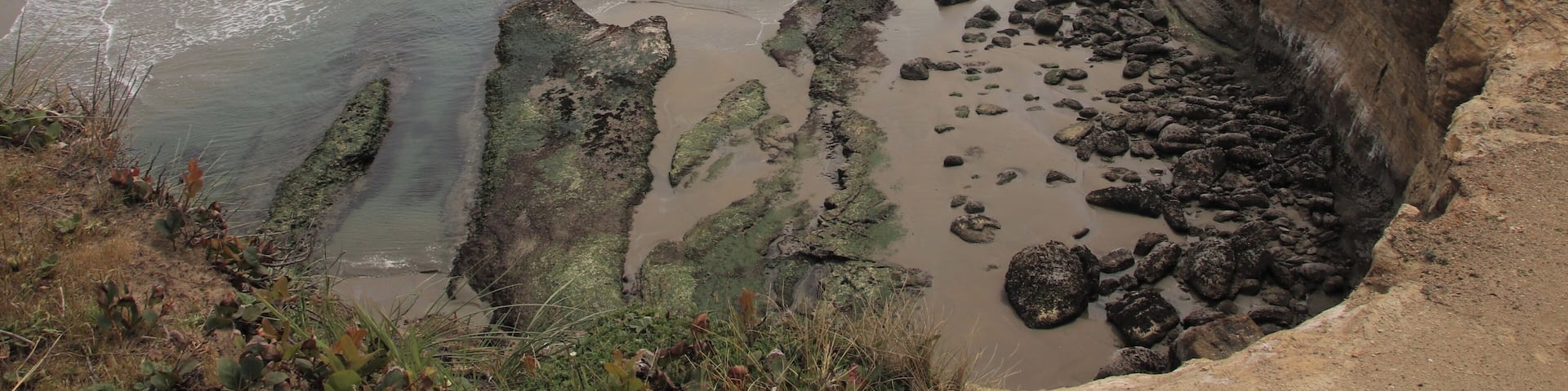 Beverly Beach overlook is a good place to watch the surfers. It’s also close to several others places to stop and inhale along coastal Highway 101.