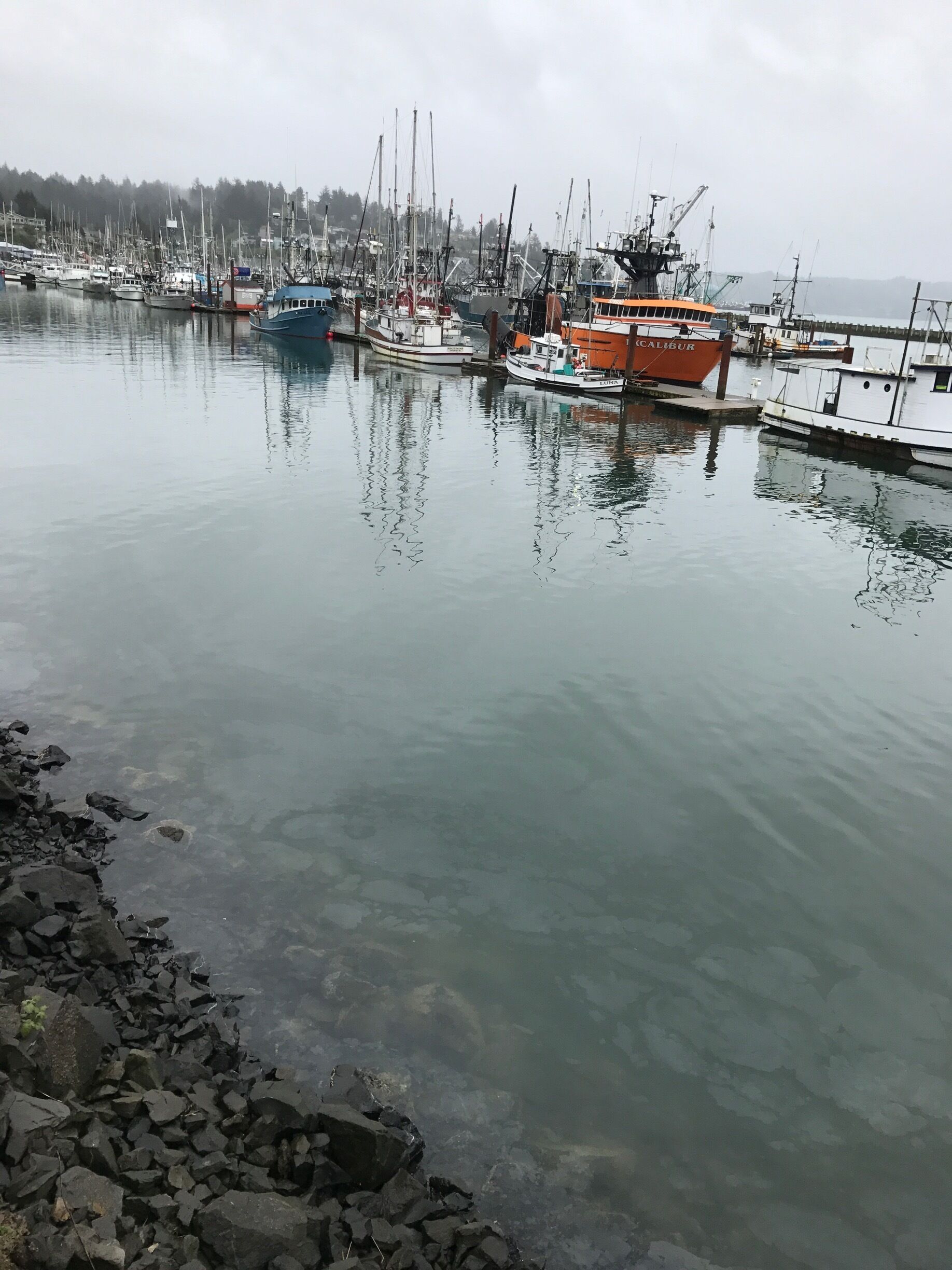 The historical center of Newport is so worth the trip! Even if it's cold and raining, it's a must see! 