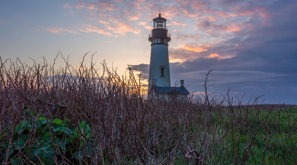 Wife and I took a roadtrip up the Pacific Coast. One of the best coast lines I seen belong to Oregon. Got to this lighthouse and took so many photos it look good against the colorful sky
#TroveOnTuesday