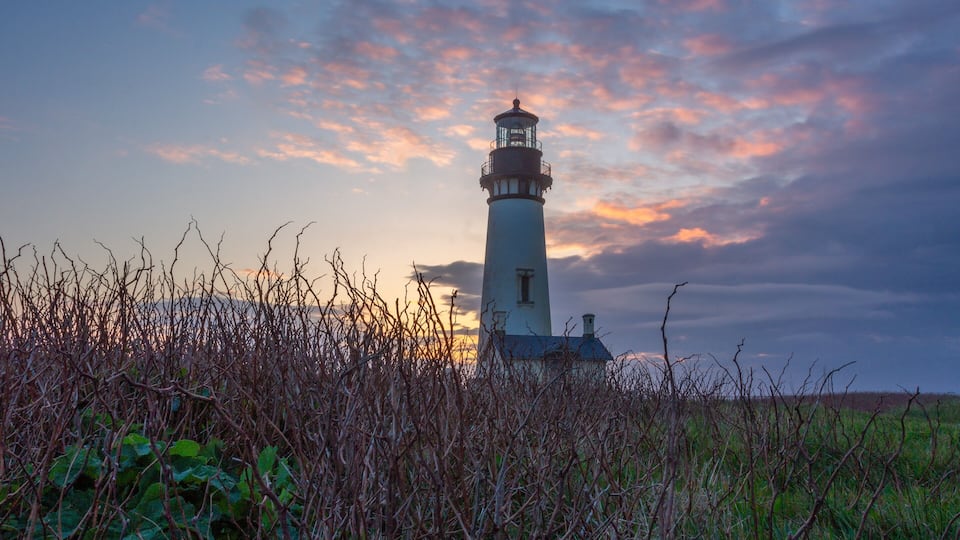 Wife and I took a roadtrip up the Pacific Coast. One of the best coast lines I seen belong to Oregon. Got to this lighthouse and took so many photos it look good against the colorful sky
#TroveOnTuesday
