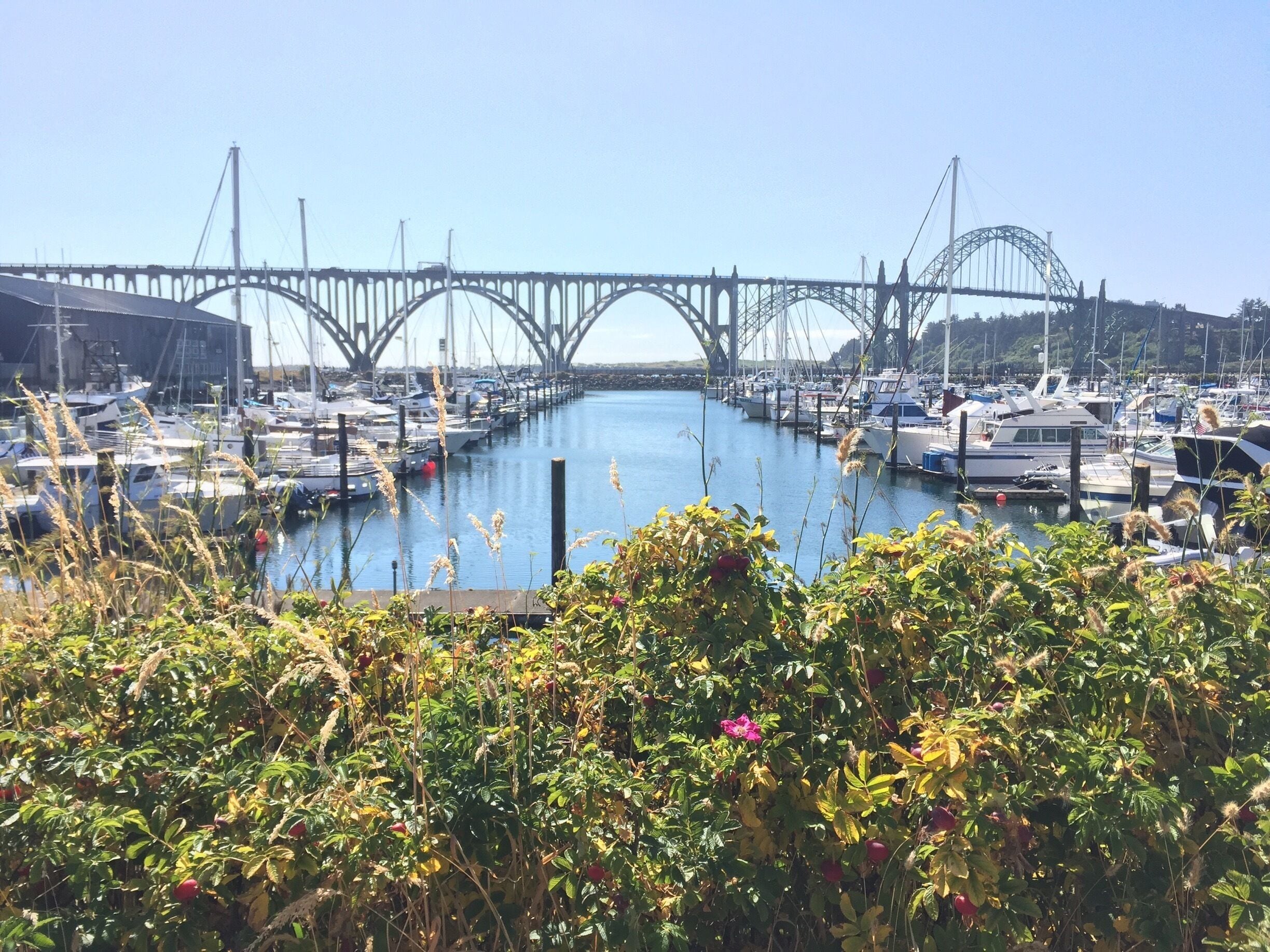 This beautiful view of Yaquina Bay is available from the Rogue distillery parking lot 