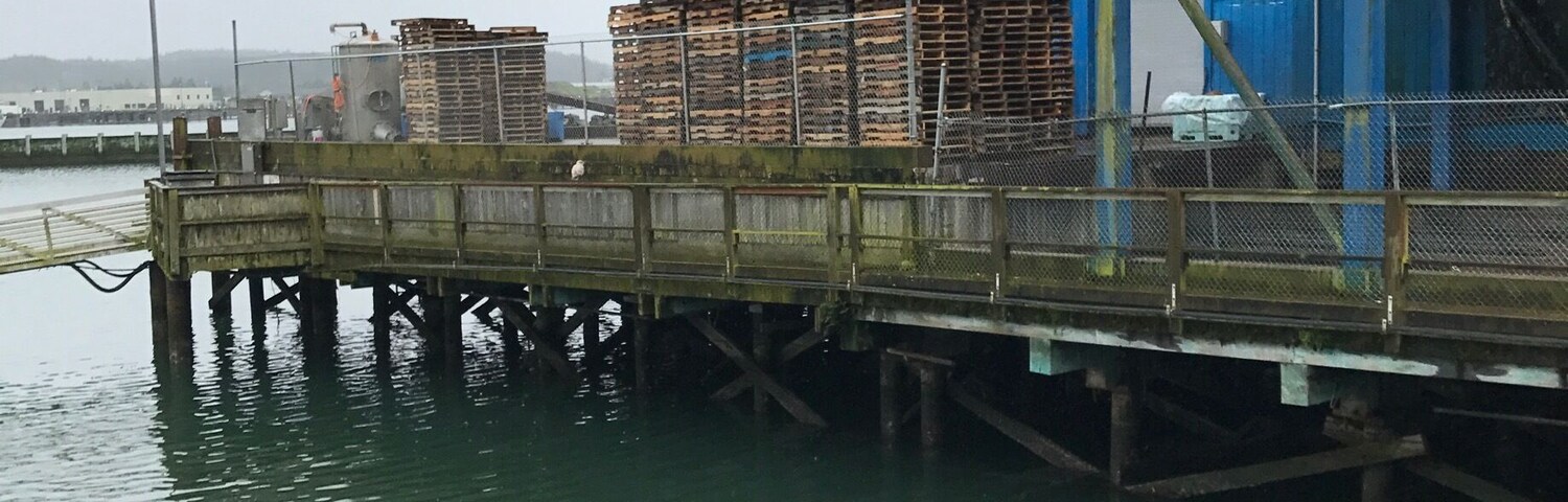 This is the building where the fishing boats drop of their daily catch and the trucks than go and disperse the load to stores.