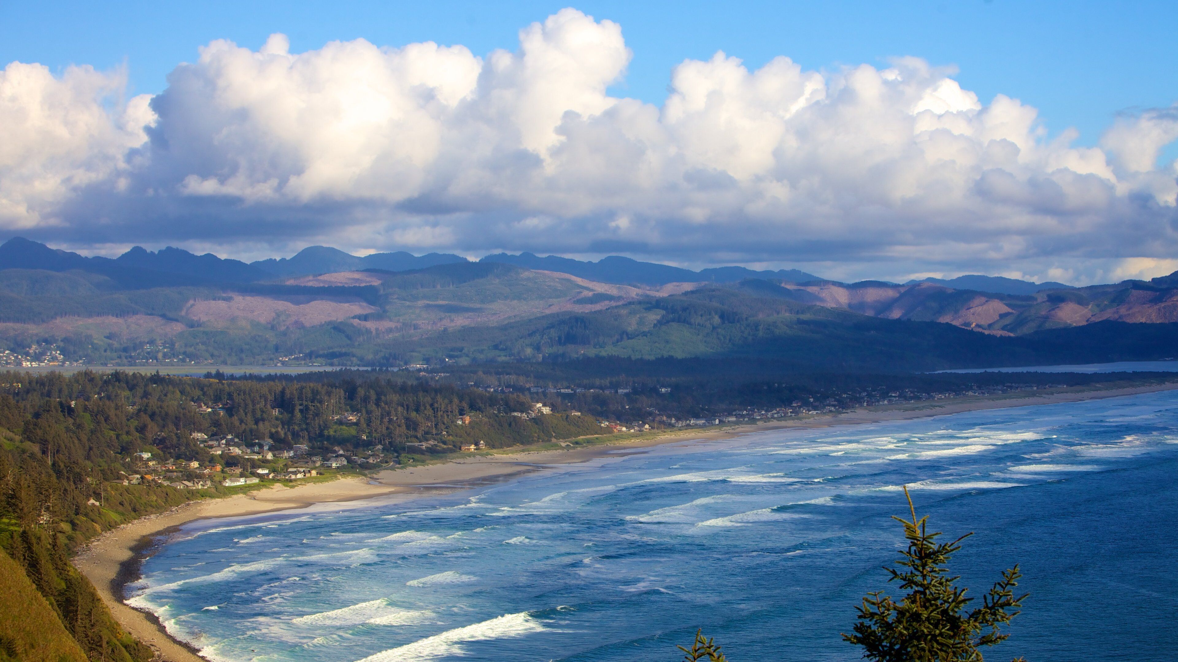 Newport showing landscape views, general coastal views and a coastal town