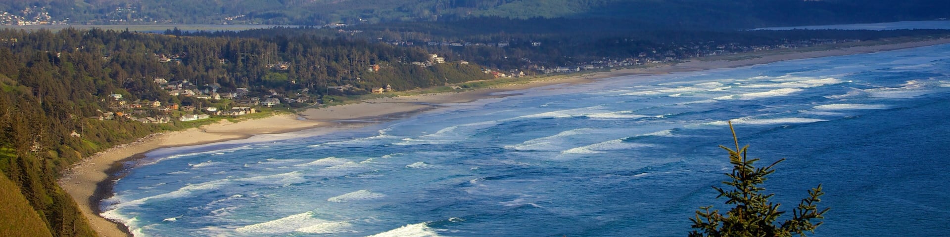 Newport showing landscape views, general coastal views and a coastal town