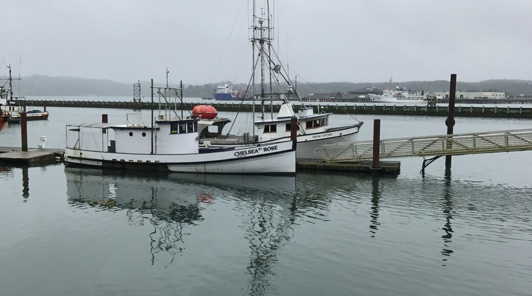 I love to look at fishing boats, they are hard working boats.