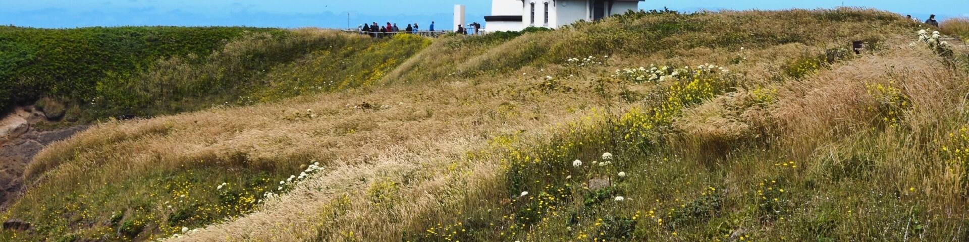 Yaquina lighthouse, the lighthouse that was used as setting for the lighthouse in 'the ring'. This was one of my favorite spots during a trip from last summer along the Oregon coast. #yaquinaheadlighthouse #lighthouse #oregon #oregoncoast #pacificnorthwest #yaquinahead #traveloregon #oregonexplored #travel #travelgram #travelphotography #dreamy #landscapephotography #wanderlust #roadtrip #nikon #nikond7200 #landscape_capture #artofvisuals #nikonphotography #throwback #picturesque #picoftheday #nikonphotography