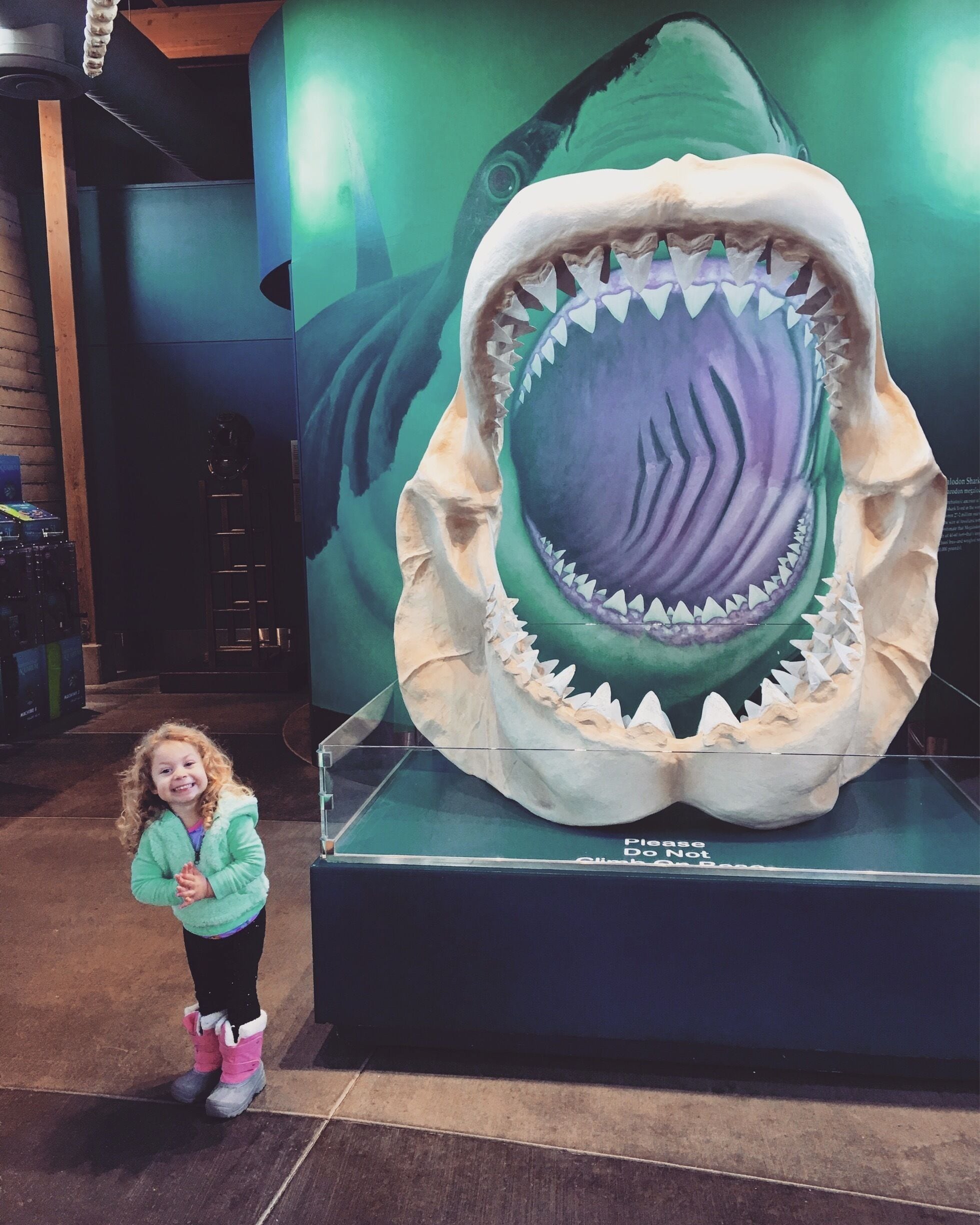 The good stuff 
Feedings
Parking 
Photos 
All happen before 2pm