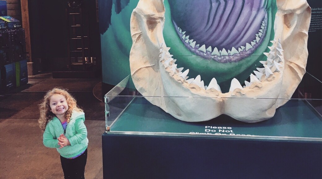 The good stuff
Feedings
Parking
Photos
All happen before 2pm