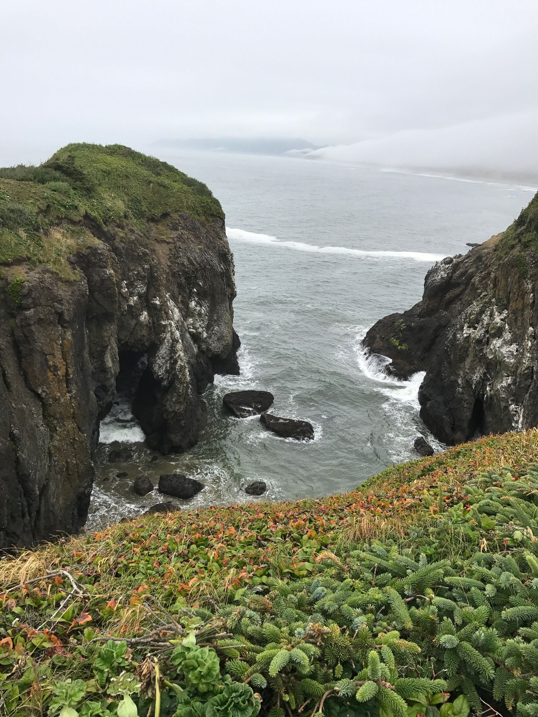 A coastal cliff with rugged terrain and a view of the ocean.