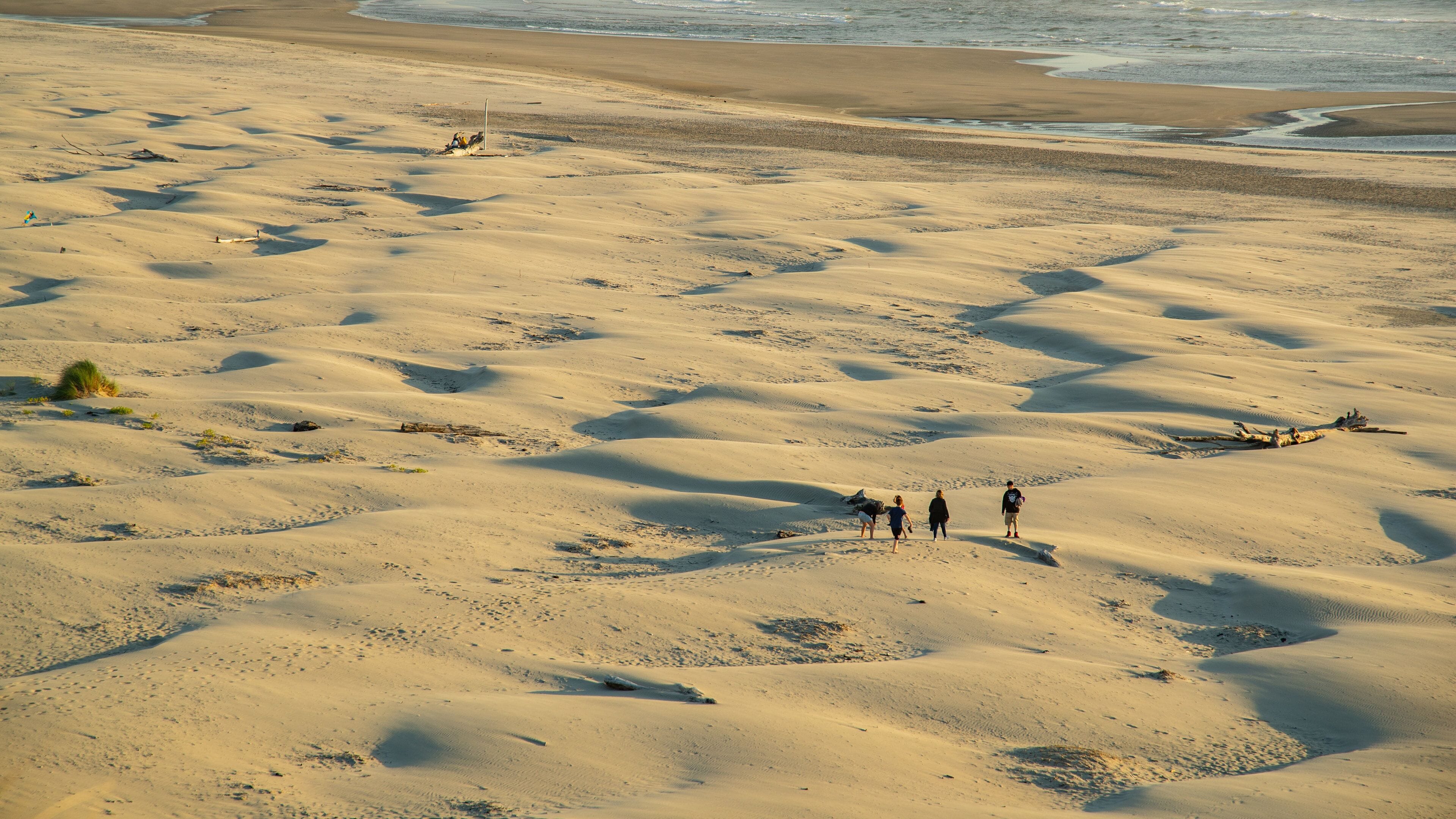 A sandy desert landscape with people walking.