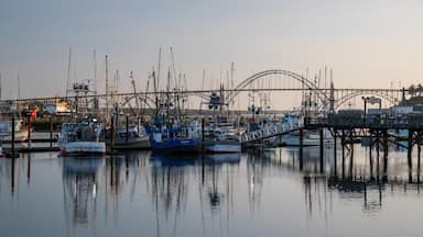 Central Oregon Coast