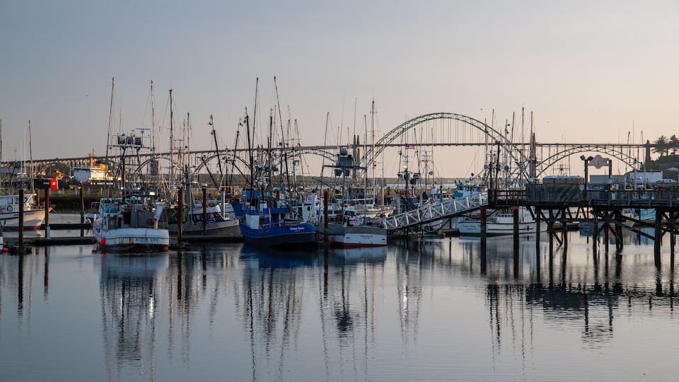 A harbor with multiple boats docked, a bridge, and a pier.
