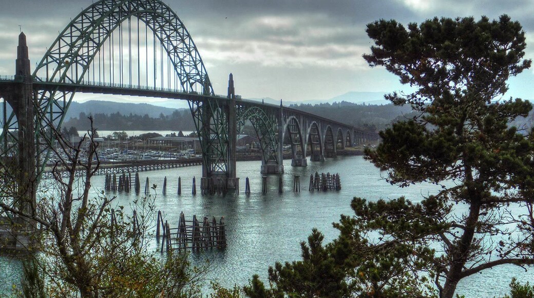 Scenic stop along Hwy 101 with view of the Yaquina Bay bridge. Newport, OR