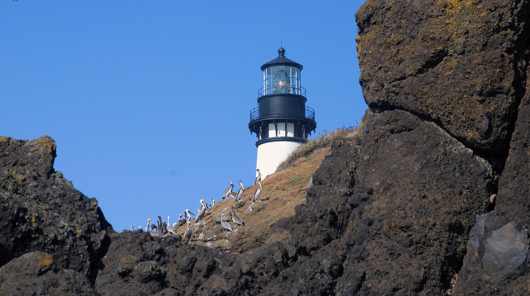 The tide was just right, and we climbed down the cliff to the beach. This view of the lighthouse framed by the rocks with the pelicans basking in the sun made for an interesting perspective.
#outdoors
#travel
#lighthouse
#history
