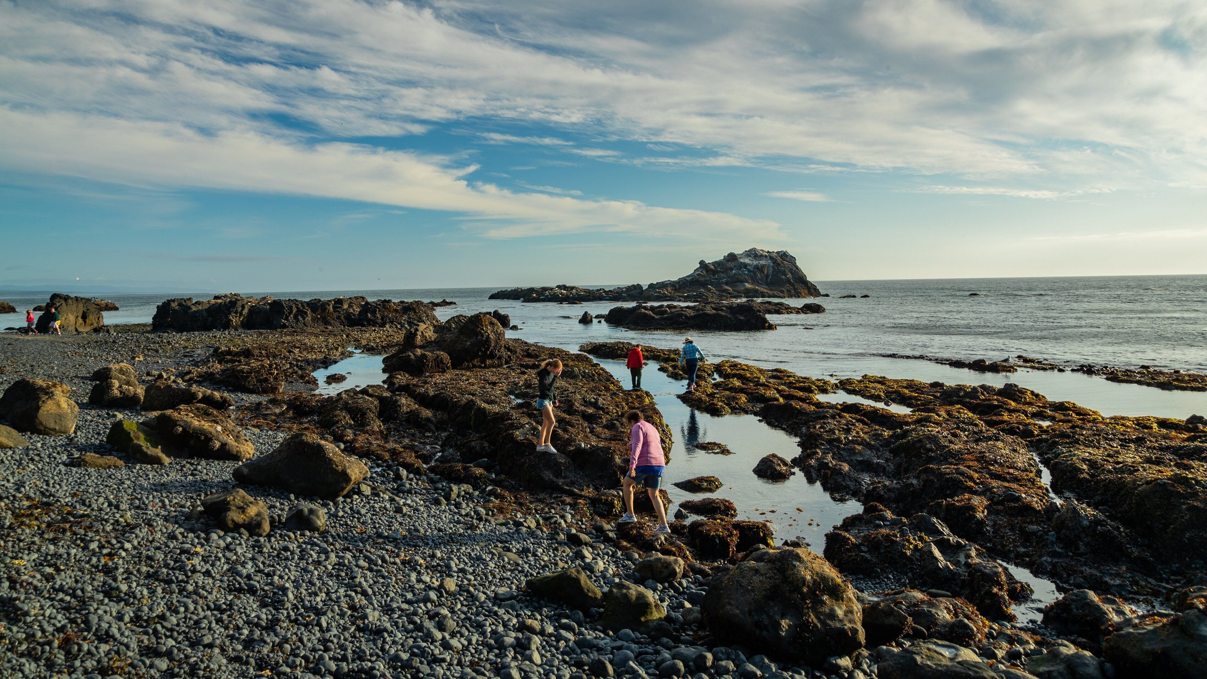 A rocky beach with people exploring.