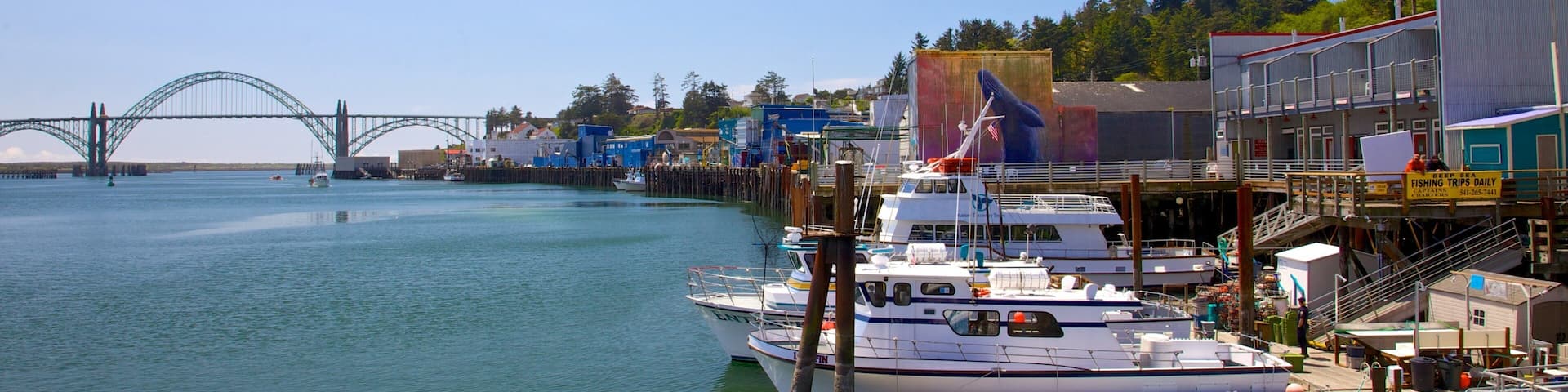 ニューポート どの含み ボート, マリーナ と 湾岸あるいはハーバー