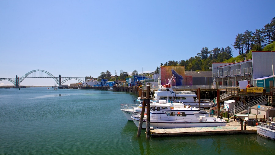 Newport showing boating, a bridge and a bay or harbour