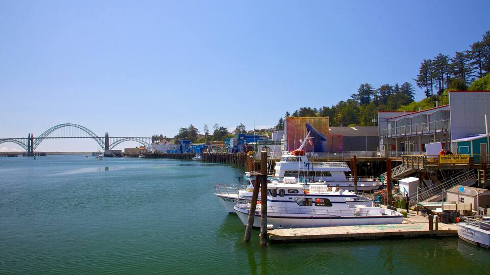 A marina with boats docked, a large bridge in the background, and a building with a sign advertising fishing trips.