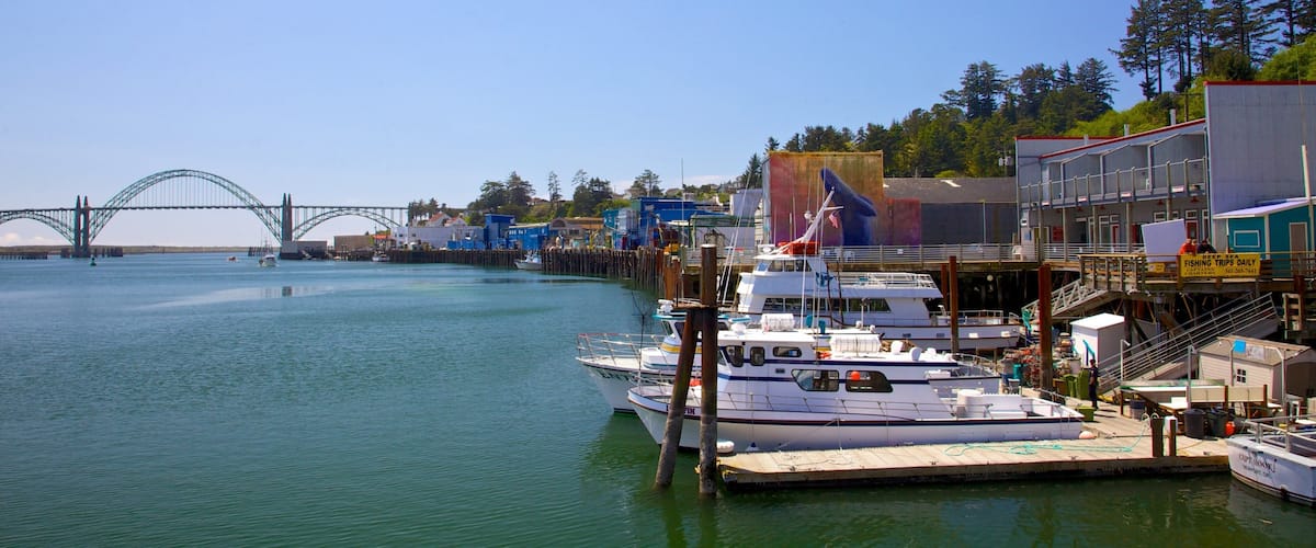 Newport featuring a marina, a bay or harbour and boating