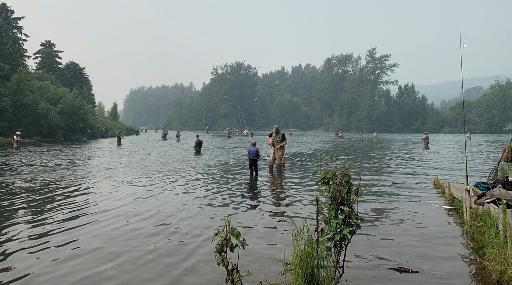 Russian River fishing. The smoky sky is from a forest fire nearby. Limit of 9 salmon a day per person.
07/06/19
