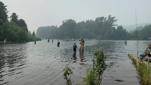 Russian River fishing. The smoky sky is from a forest fire nearby. Limit of 9 salmon a day per person.
07/06/19