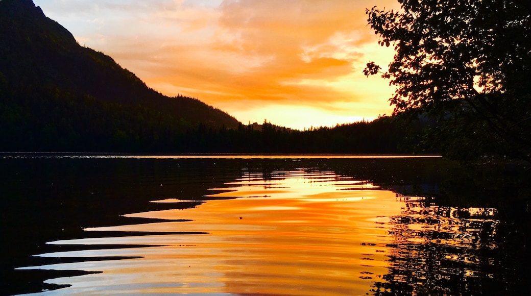 Jean Lake in the midnight sun. Located in Kenai Peninsula.
#AquaTrove