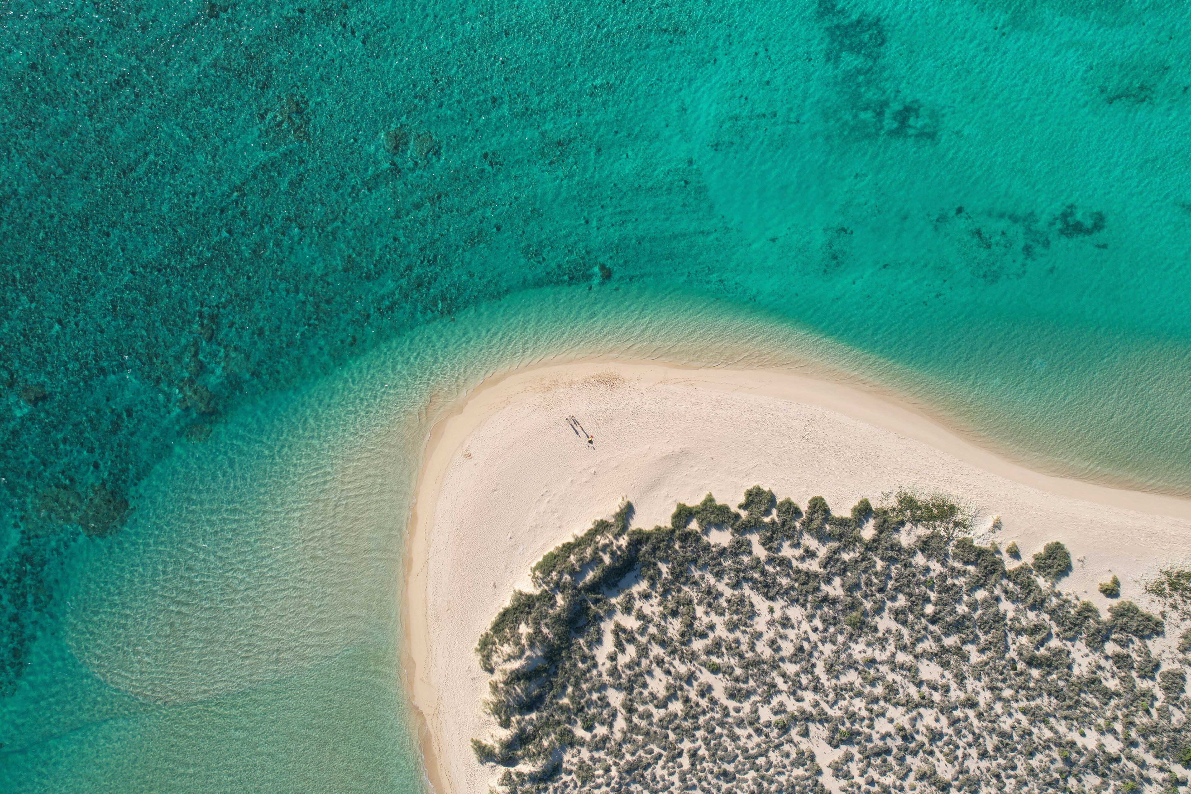 An aerial view of a beach with clear turquoise waters, a sandy shore, and a small cluster of trees.