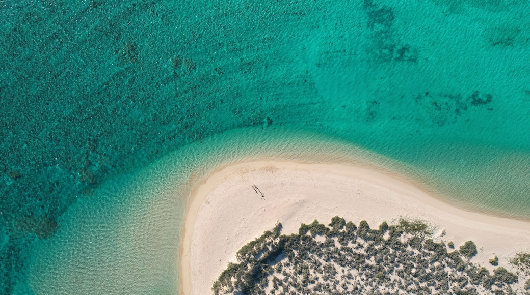 An aerial view of a beach with clear turquoise waters, a sandy shore, and a small cluster of trees.