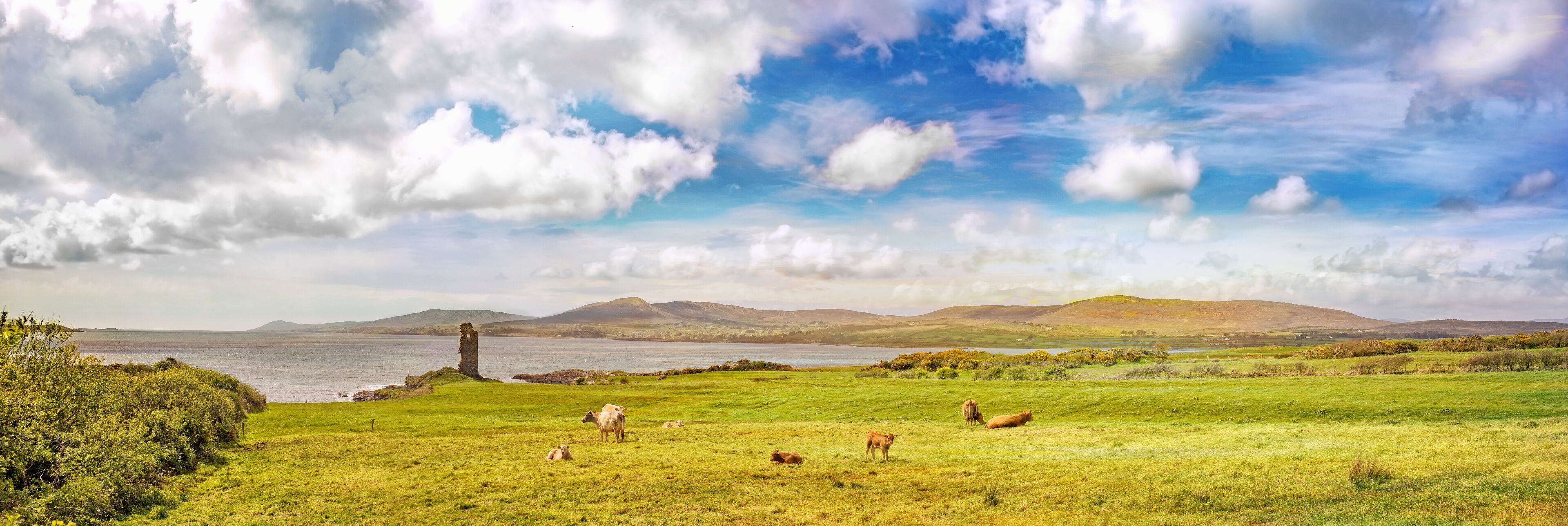 A coastal landscape with a ruined structure, grazing cows, and a distant mountain range.