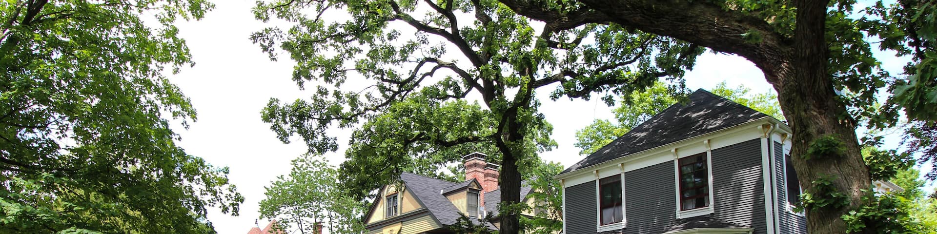 Oak Park Hotel Guide