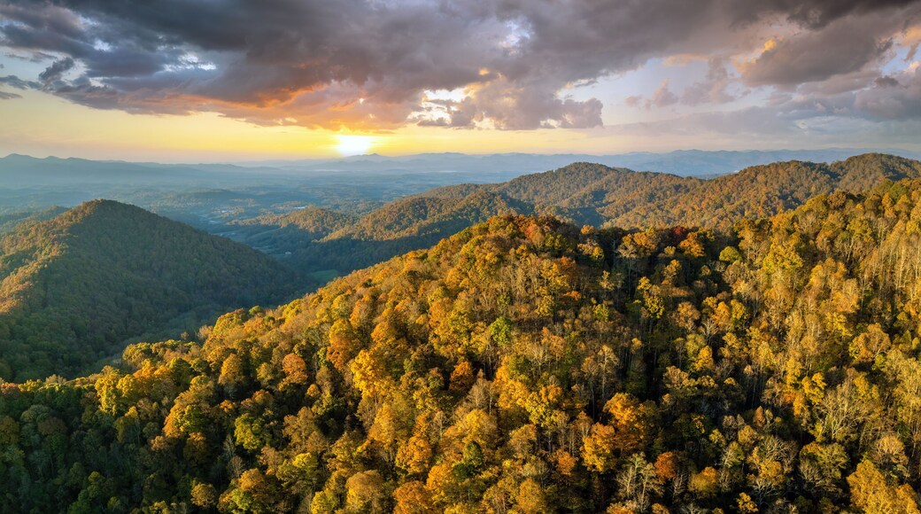 Sunset landscape of Appalachian mountains woods nature in fall season. Colorful forest with yellow canopies in autumn