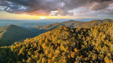 Sunset landscape of Appalachian mountains woods nature in fall season. Colorful forest with yellow canopies in autumn